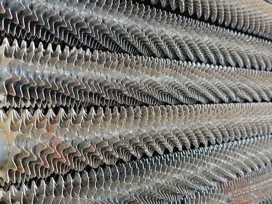 ASME قطعات دیگ بخاری از فولاد ضد زنگ برای دفع گرما