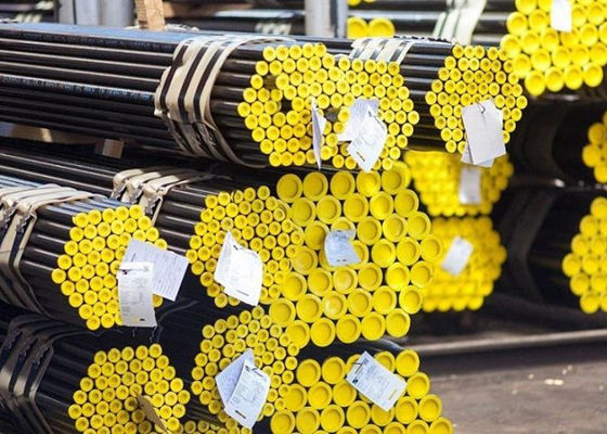 ASME SS316L آنتیل ترشی بانک دیگ بخار بدون درز لوله های انتهایی دشت