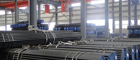 ASME SS316L آنتیل ترشی بانک دیگ بخار بدون درز لوله های انتهایی دشت
