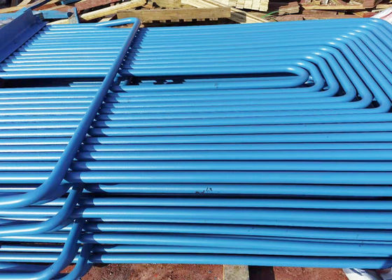 نیروگاه دیگ بخار TP321 ASME سوپرهیتر و سیم پیچ مجدد